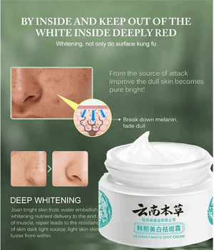 Dr Hancy White Spot Cream Japan Cream - 20g - Glow Getter Beauty